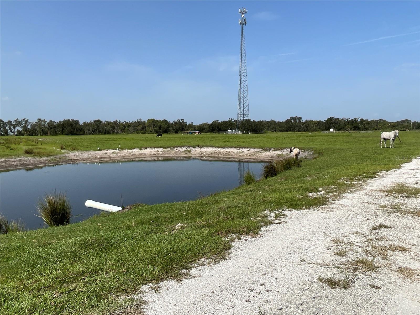 16425 COKER GULLY RD