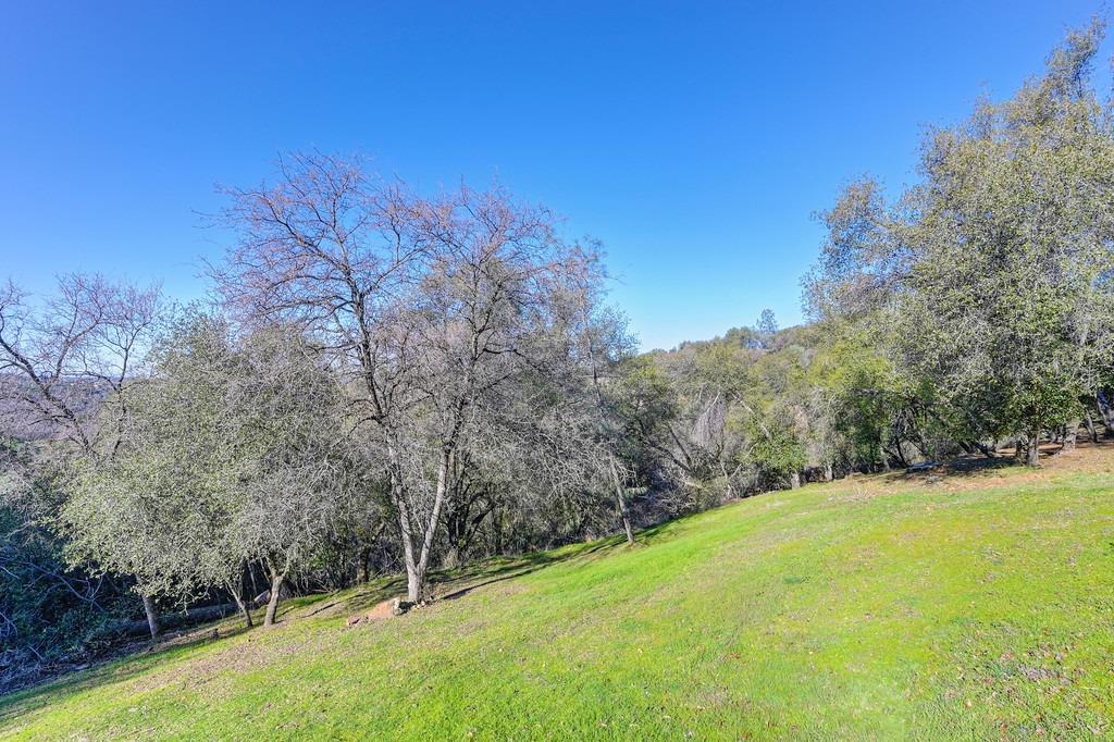 11670 Shadow Mountain Way