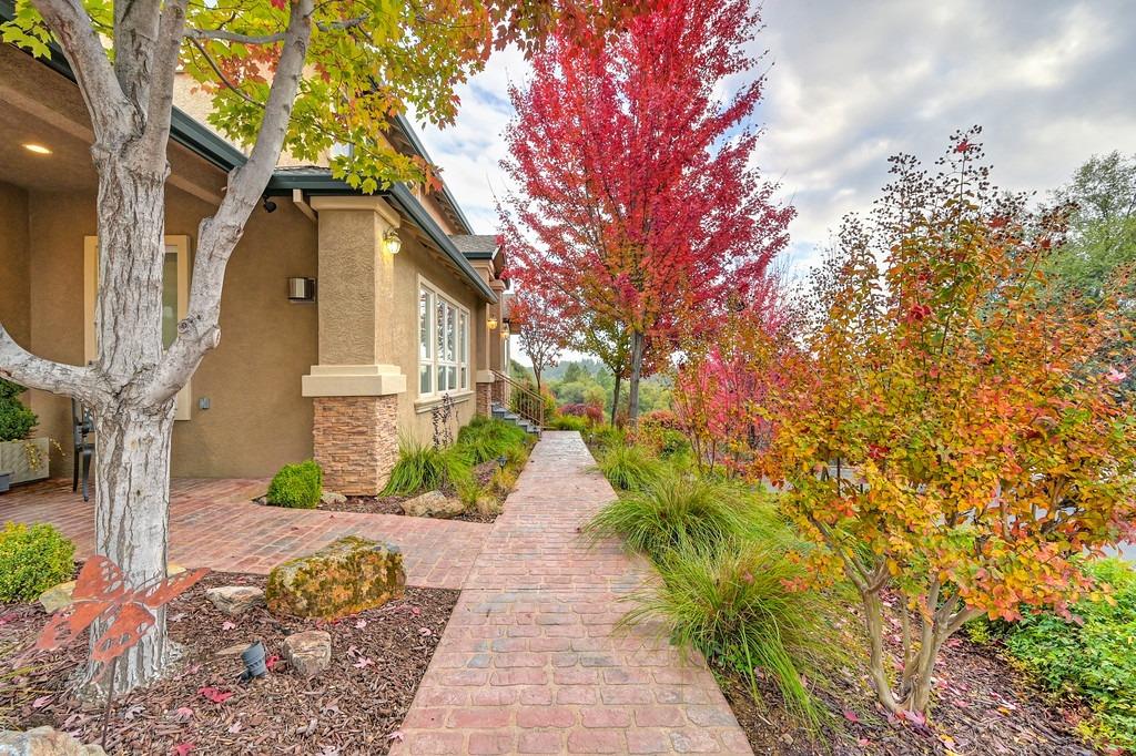 11670 Shadow Mountain Way