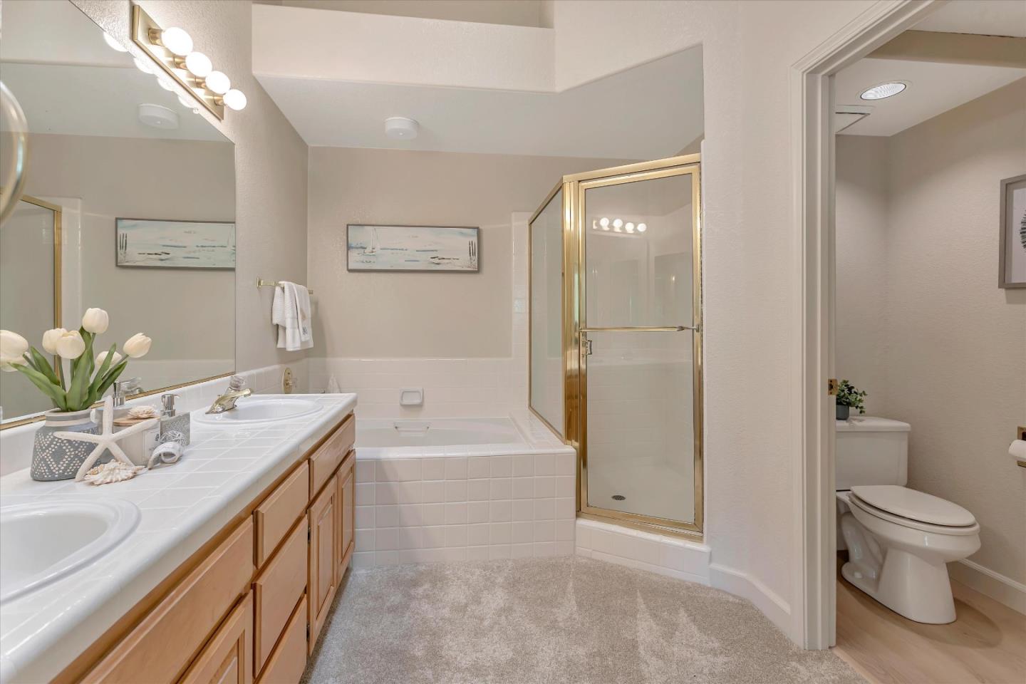 401 Camille CIR 11