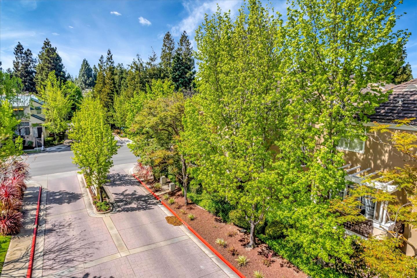 401 Camille CIR 11