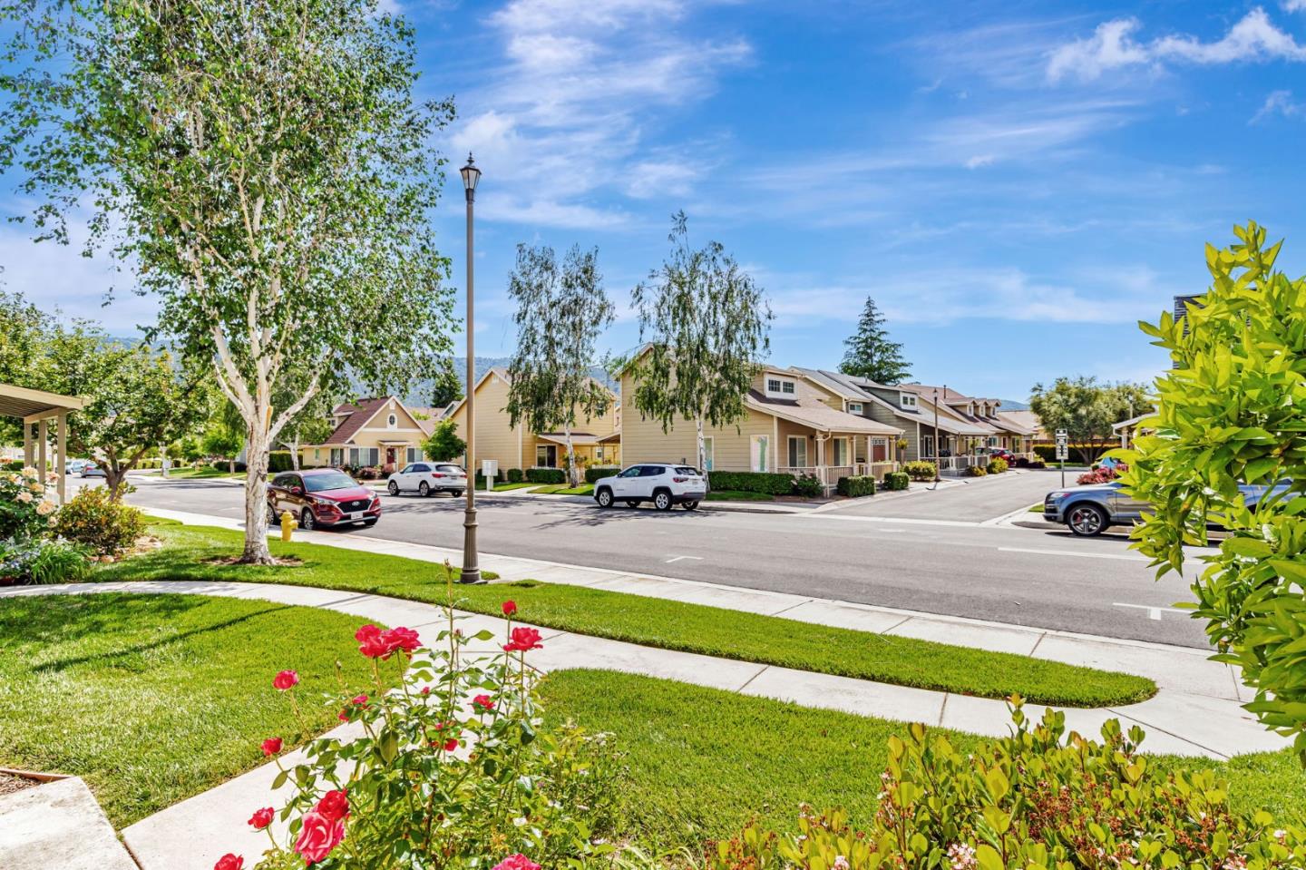 1554 Rosette WAY