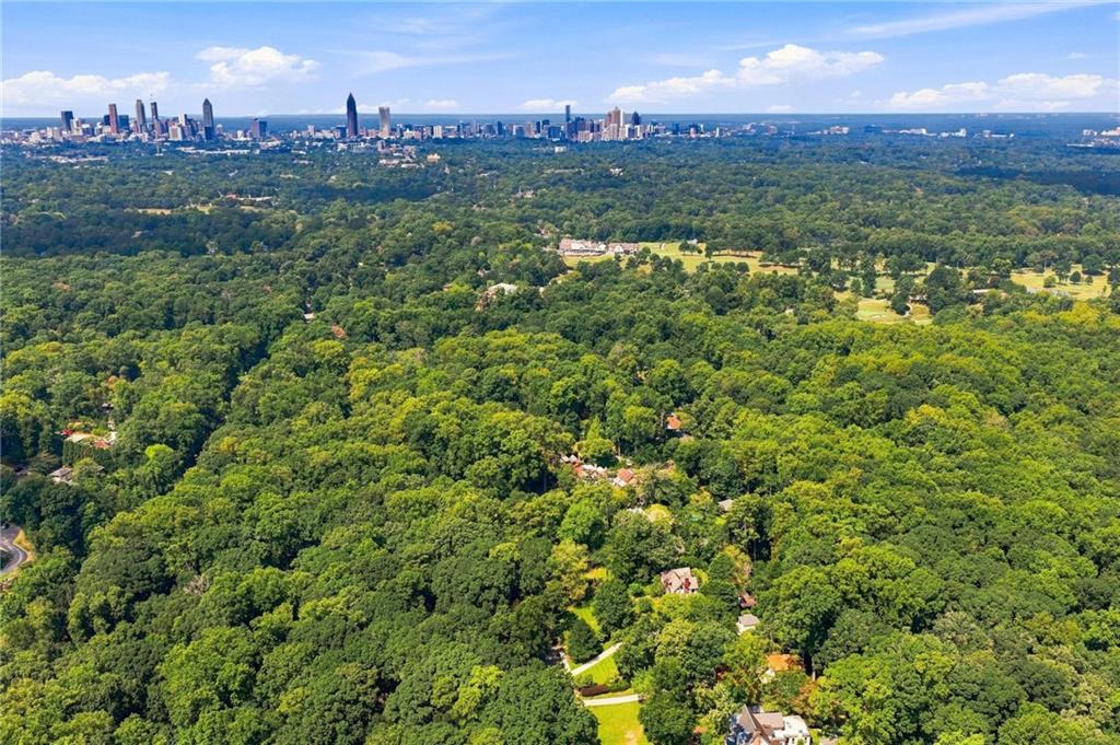 Aerial view of wooded Atlanta neighborhoods with the city skyline on the horizon.
