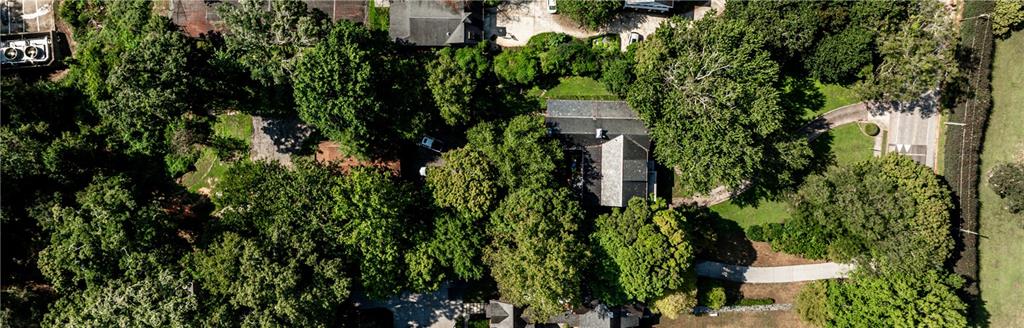Aerial view of a tree-covered home with a curved driveway.
