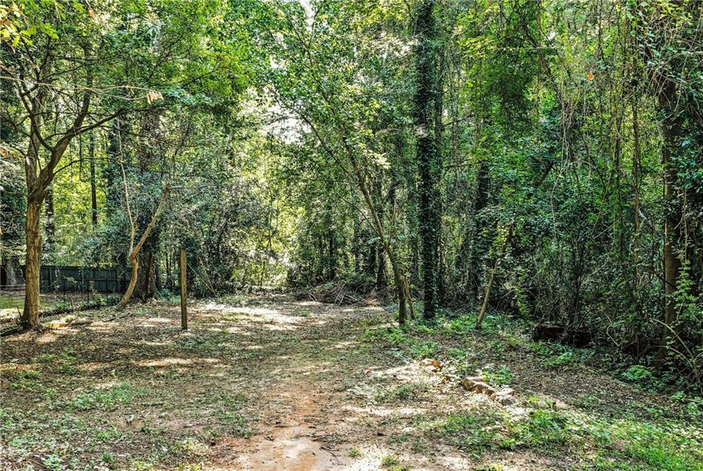 Wooded property lot with a dirt path winding beneath mature trees.