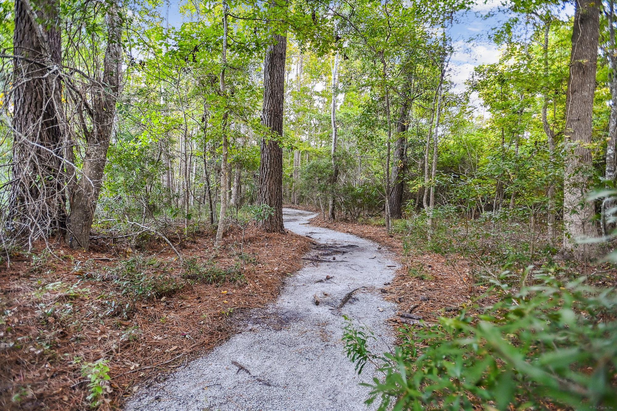 1533 Maple Grove Drive