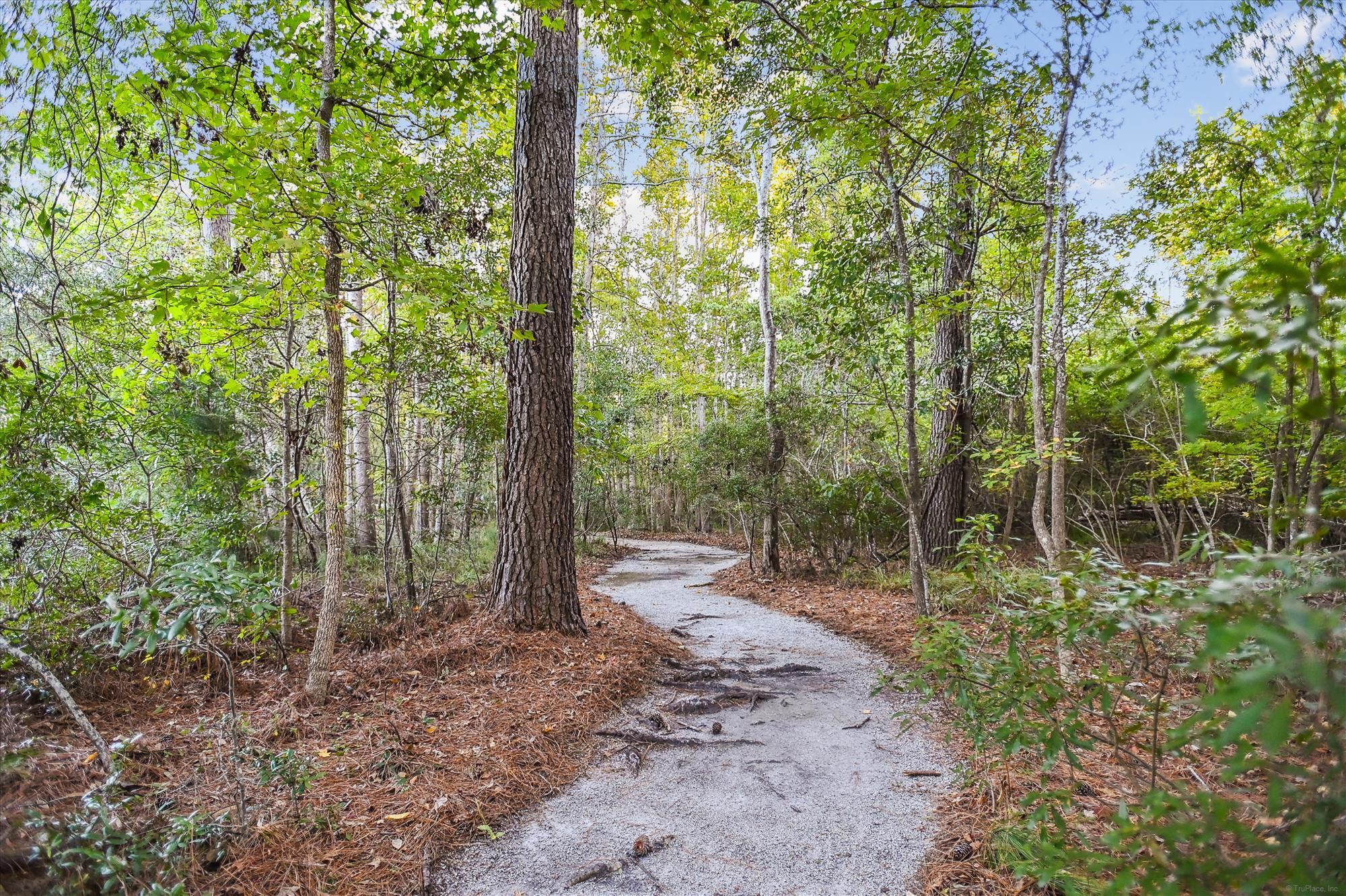 1533 Maple Grove Drive