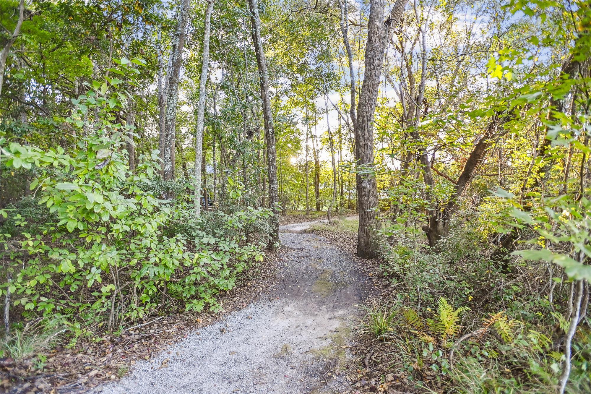 1533 Maple Grove Drive