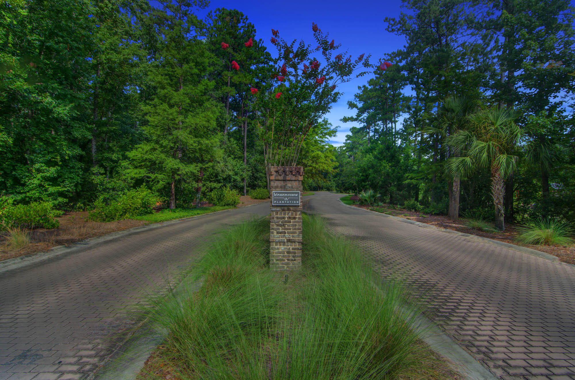 1203 Red Buckeye Court