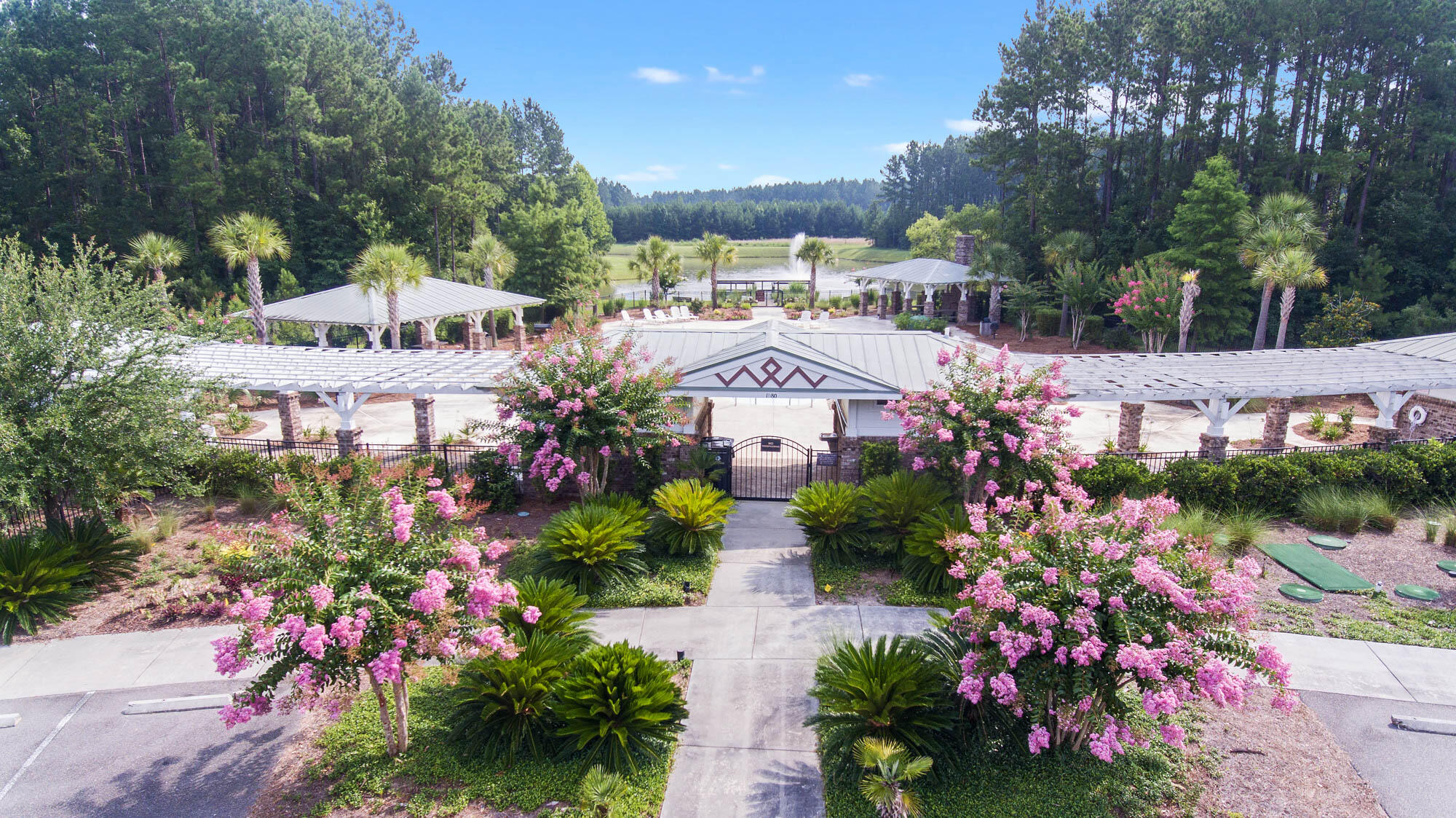 1203 Red Buckeye Court