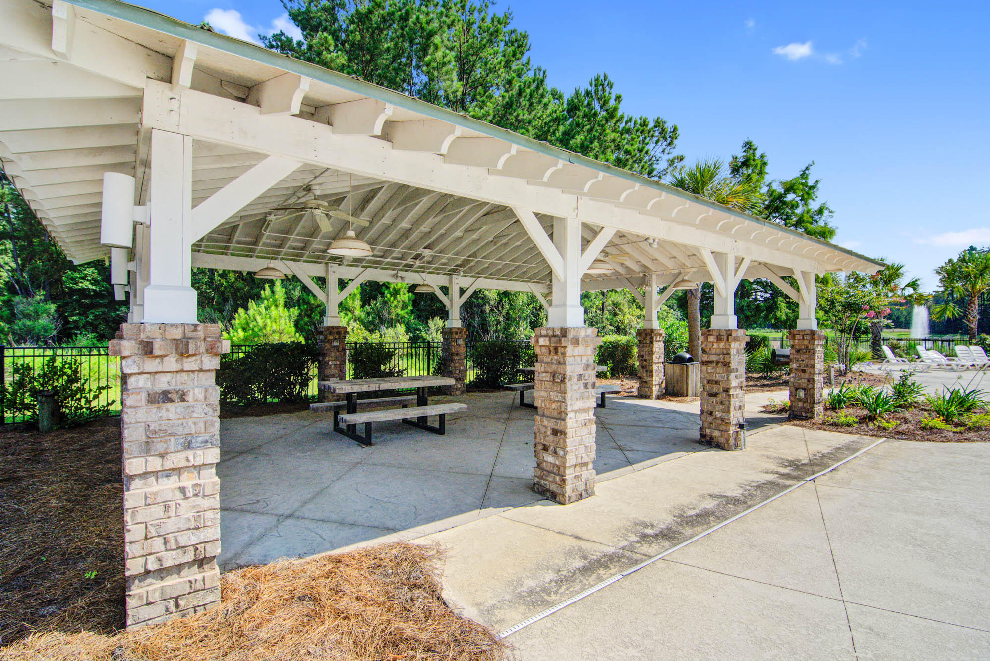 1203 Red Buckeye Court