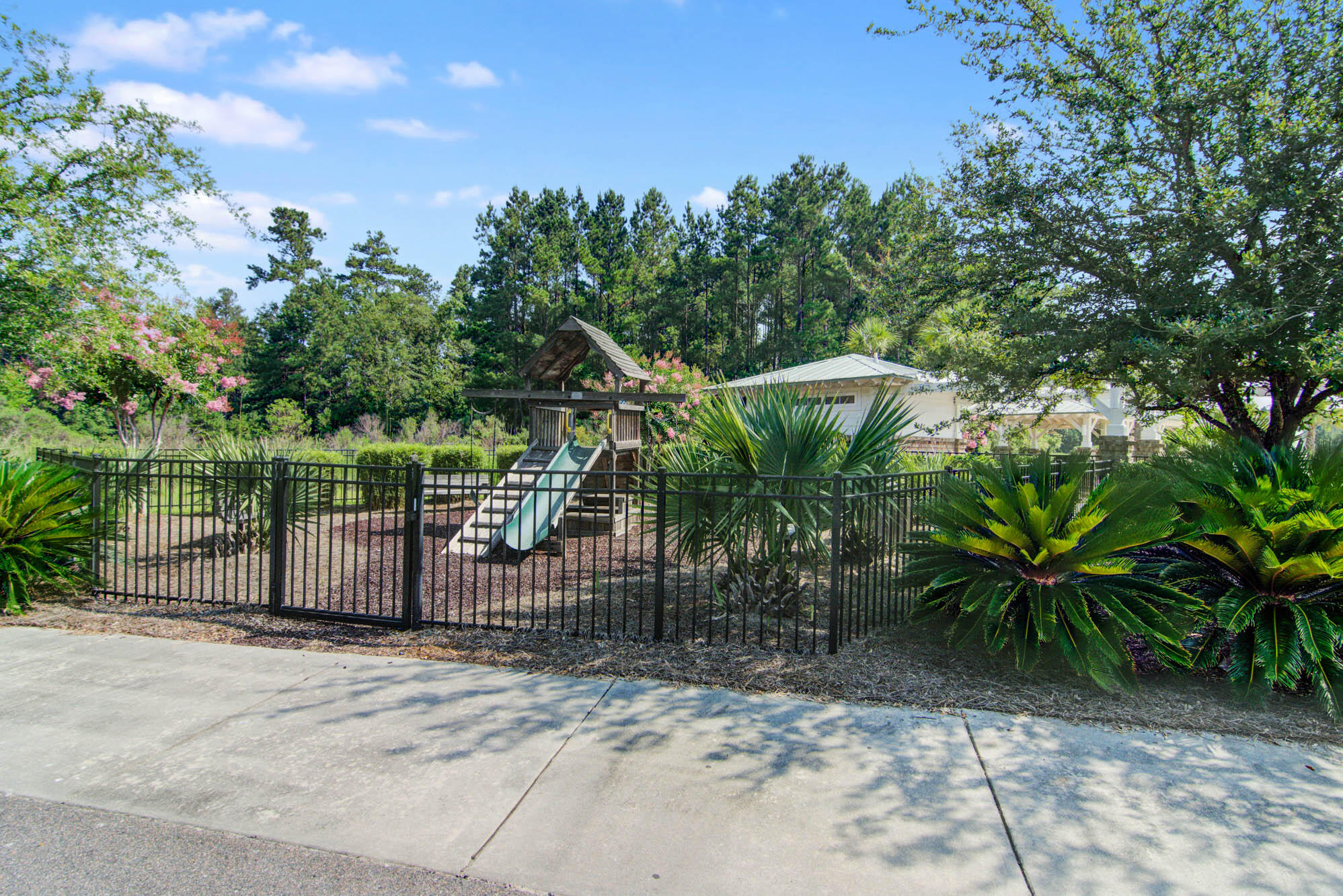 1203 Red Buckeye Court