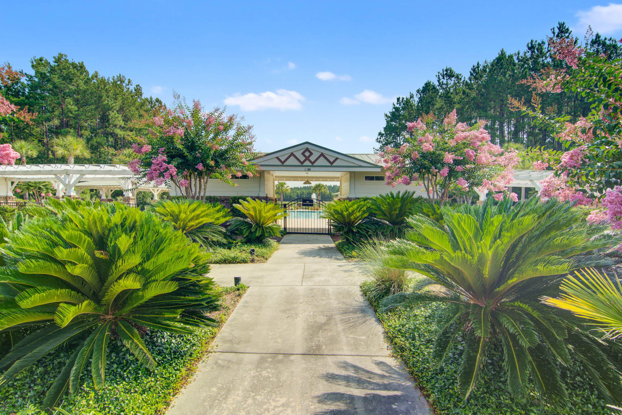 1203 Red Buckeye Court