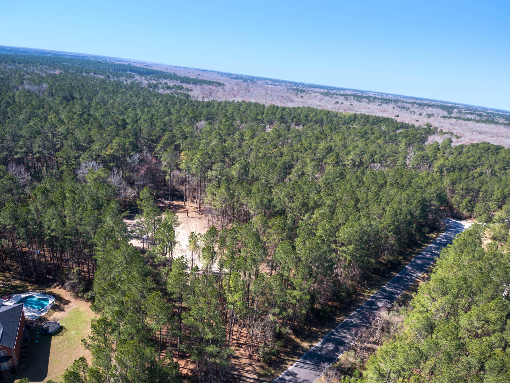 1203 Red Buckeye Court