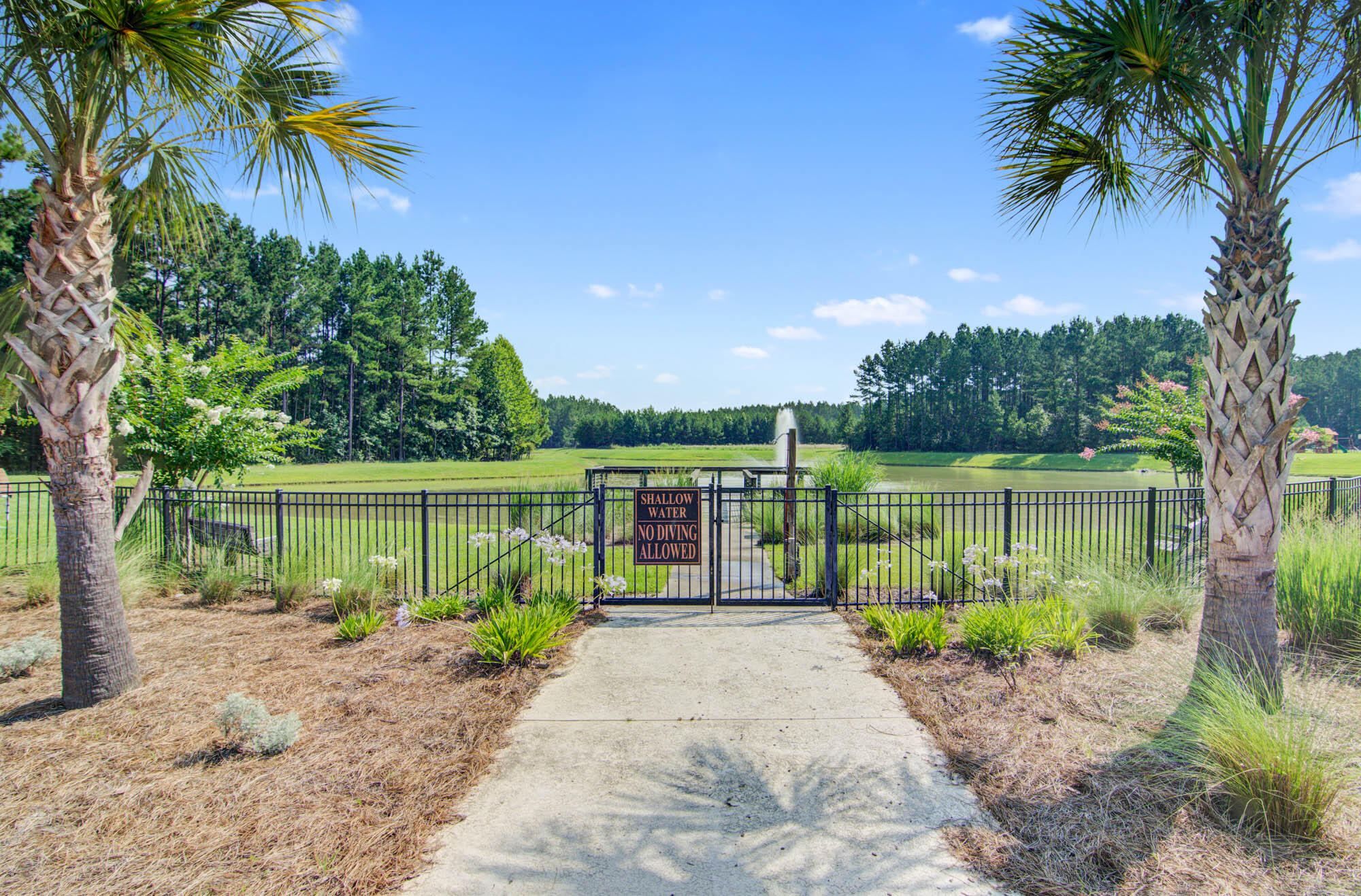 1203 Red Buckeye Court