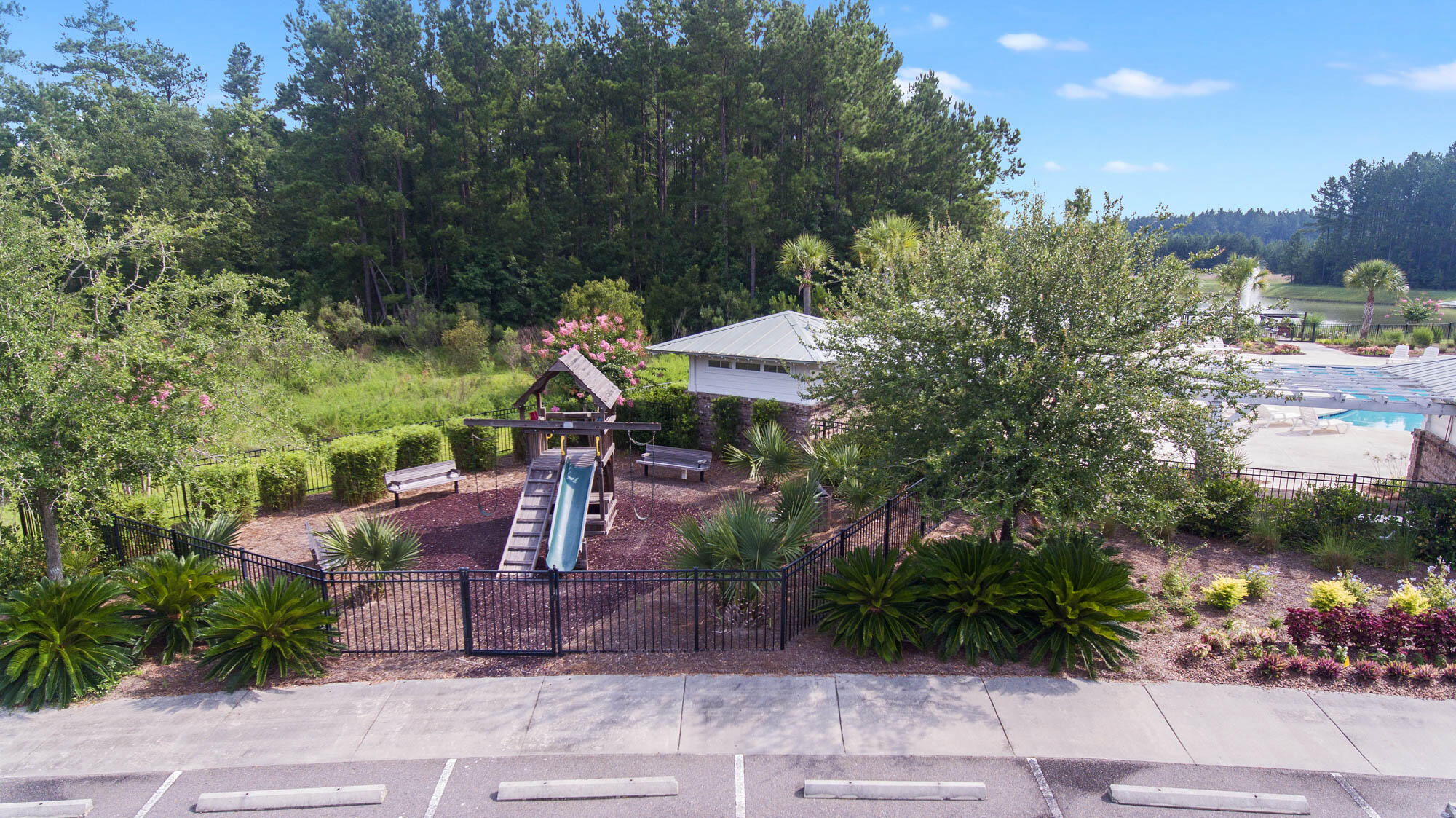 1203 Red Buckeye Court