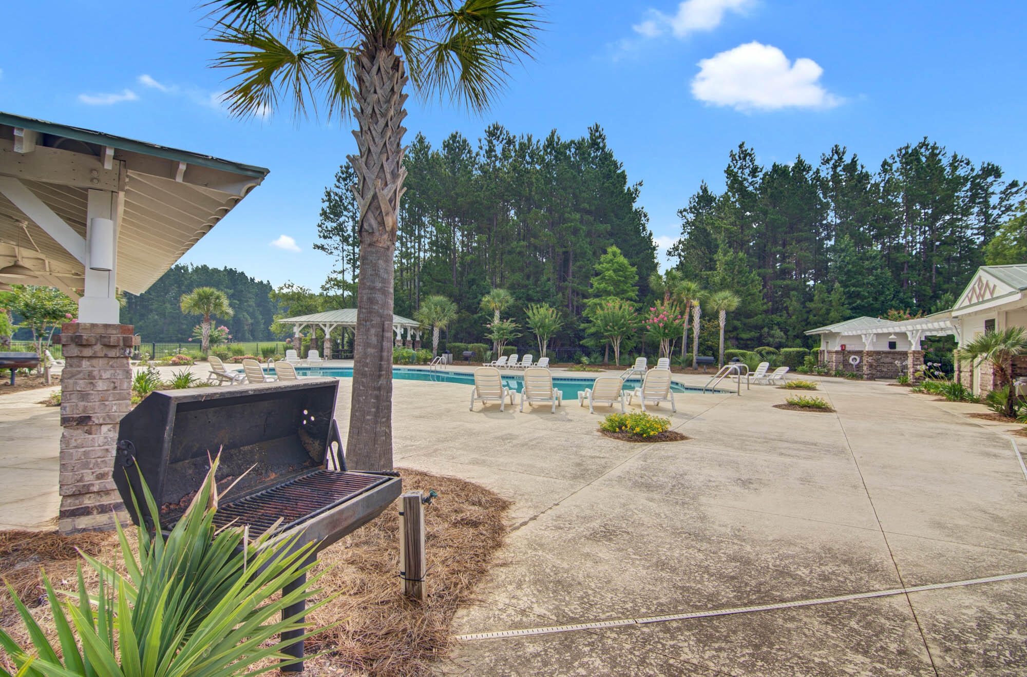 1203 Red Buckeye Court