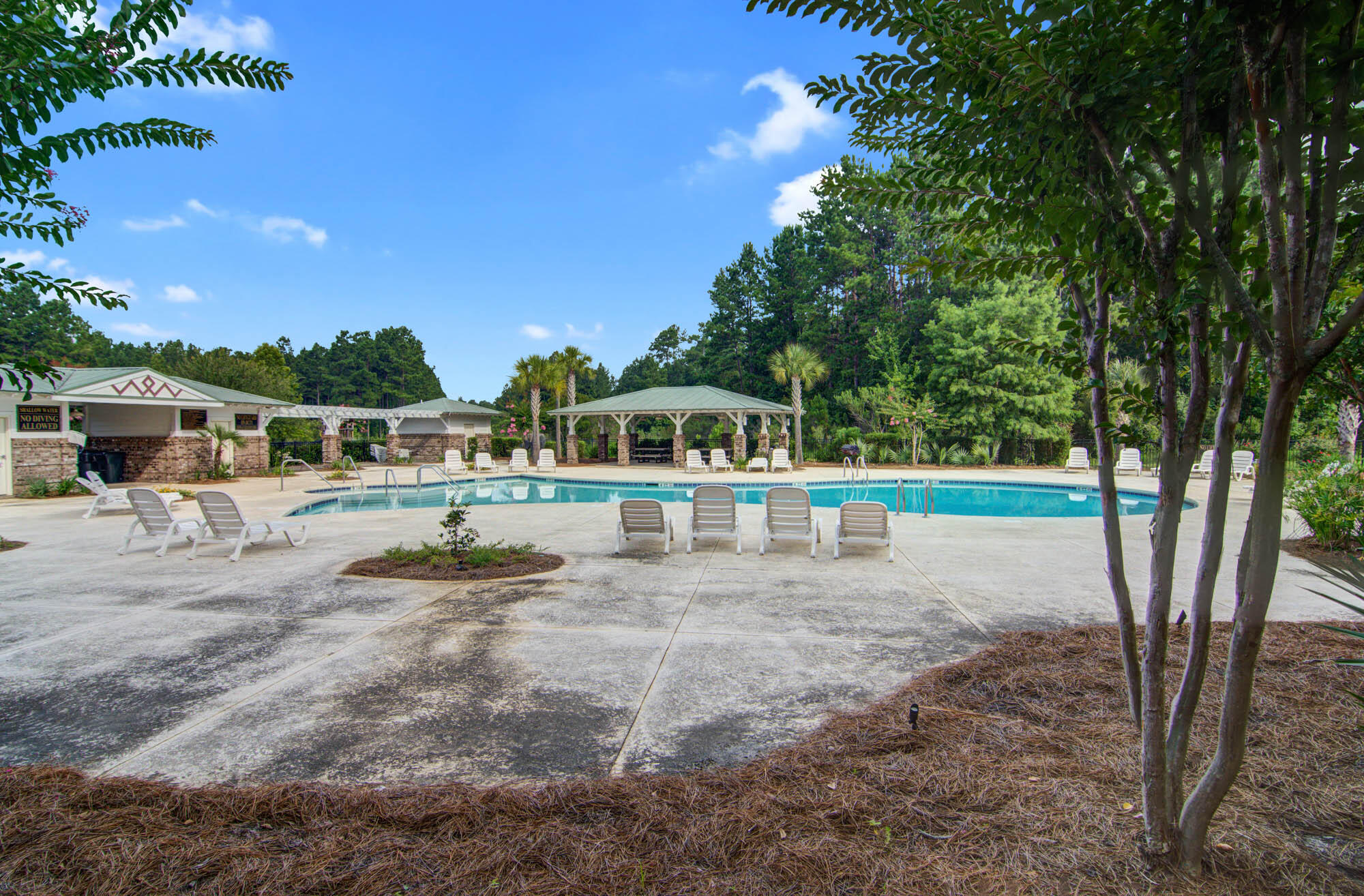 1203 Red Buckeye Court