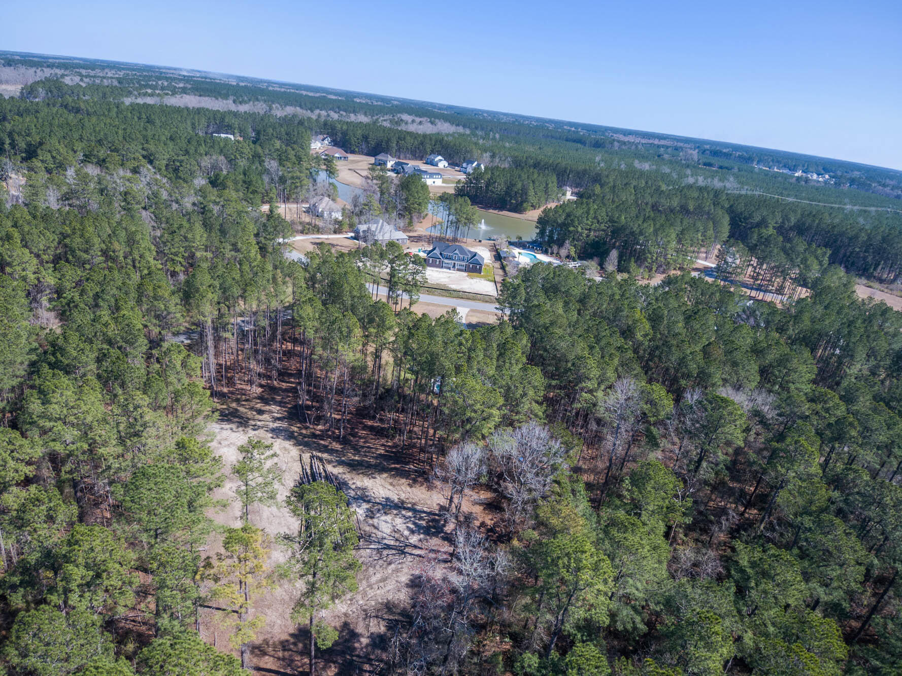 1203 Red Buckeye Court