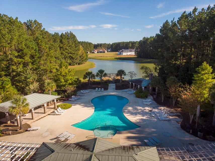 1211 Red Buckeye Court