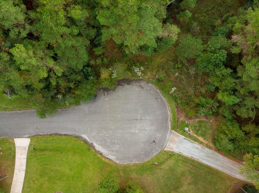 1211 Red Buckeye Court