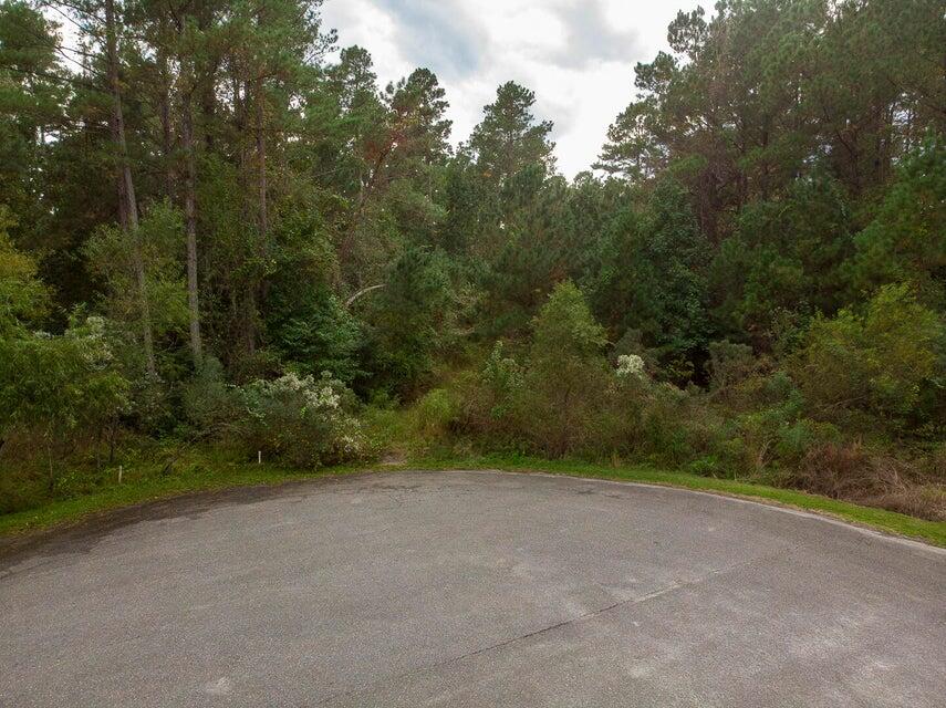 1211 Red Buckeye Court