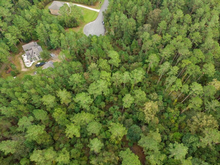 1211 Red Buckeye Court