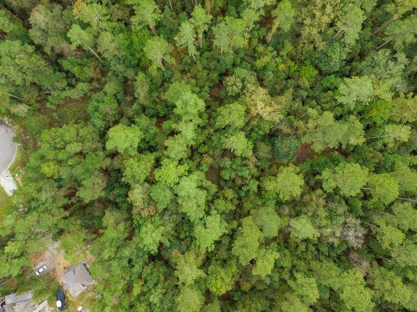 1211 Red Buckeye Court