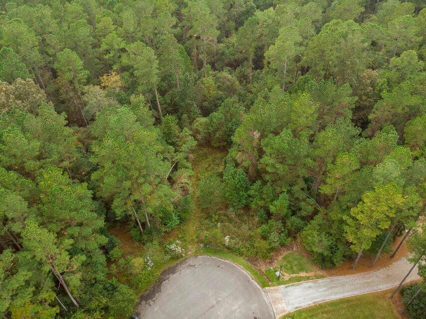 1211 Red Buckeye Court