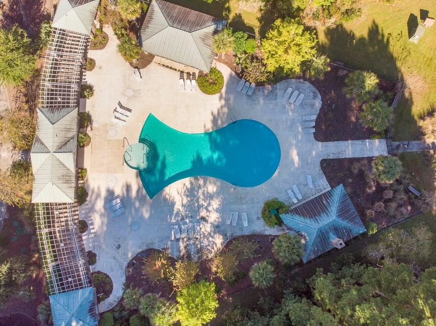 1211 Red Buckeye Court