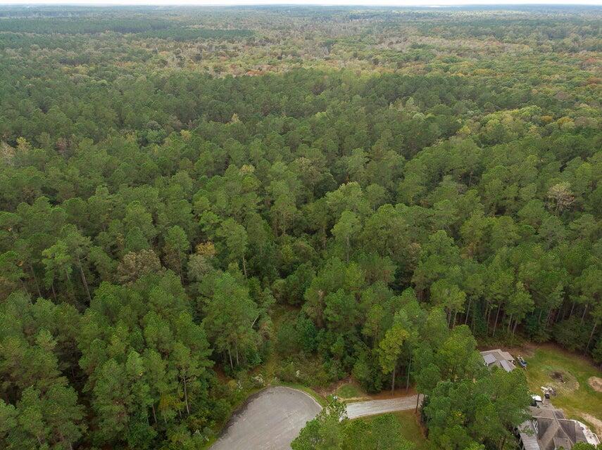 1211 Red Buckeye Court