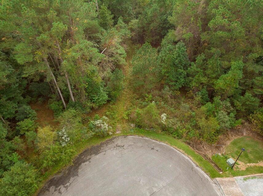 1211 Red Buckeye Court