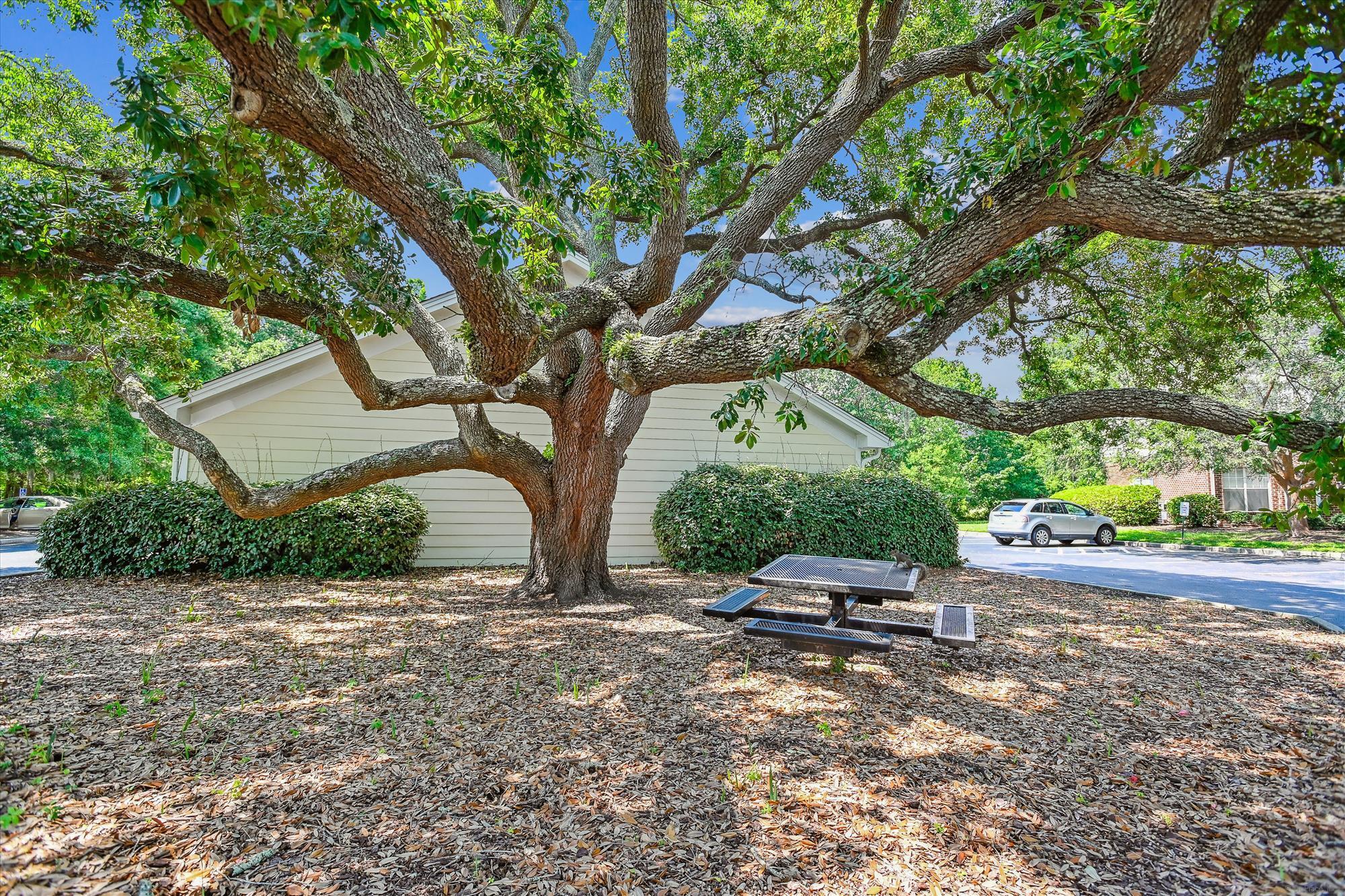 45 Sycamore Avenue Apt 322 Avenue # 322