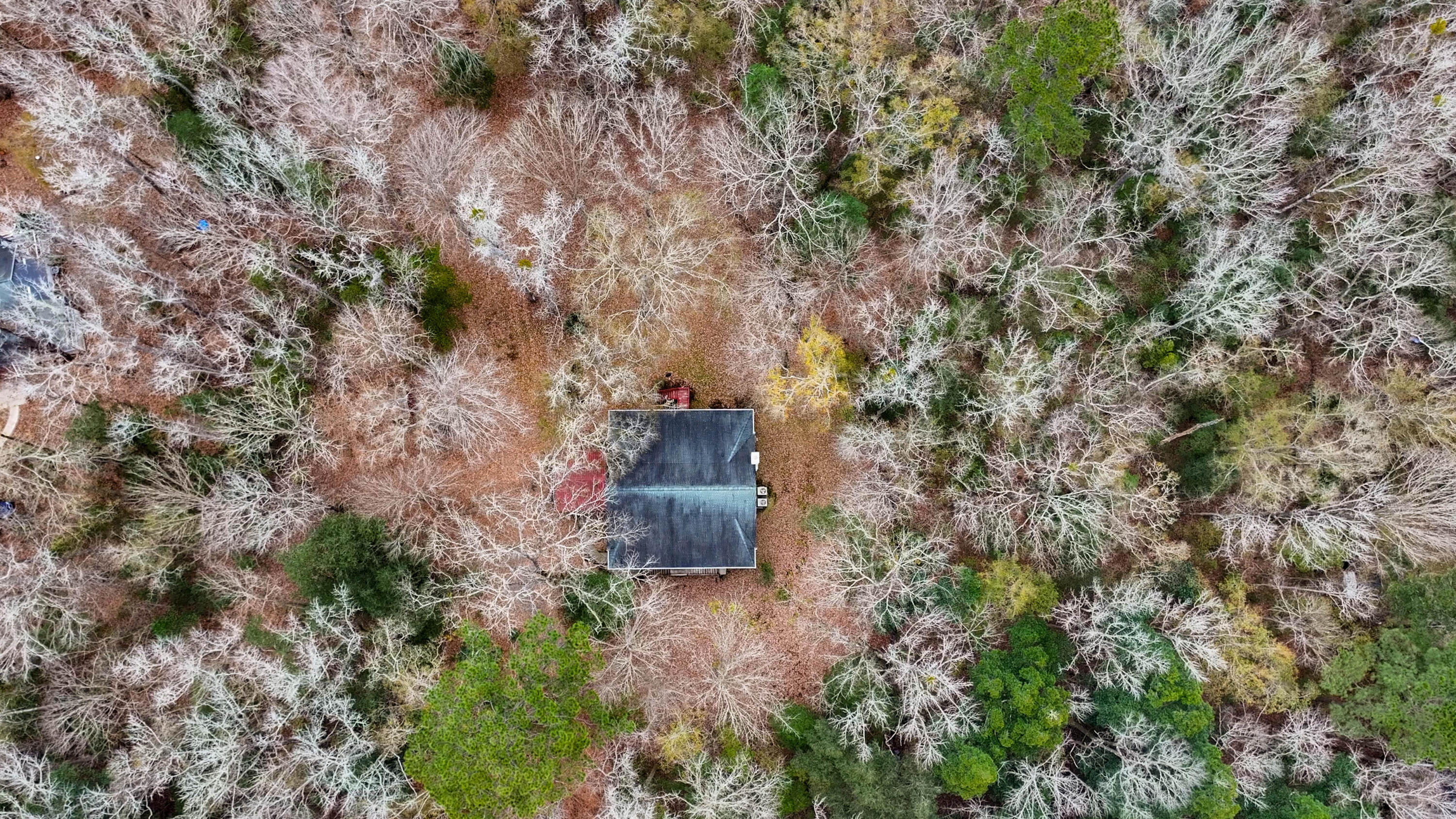 6310 Shilelagh Oaks Parkway