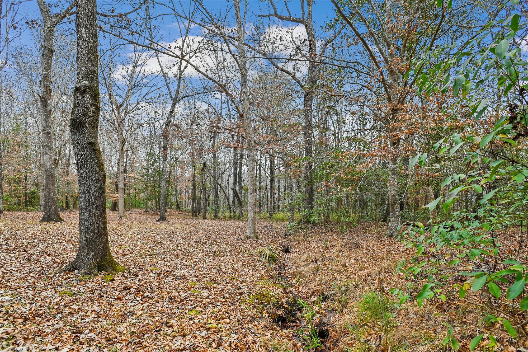 6310 Shilelagh Oaks Parkway