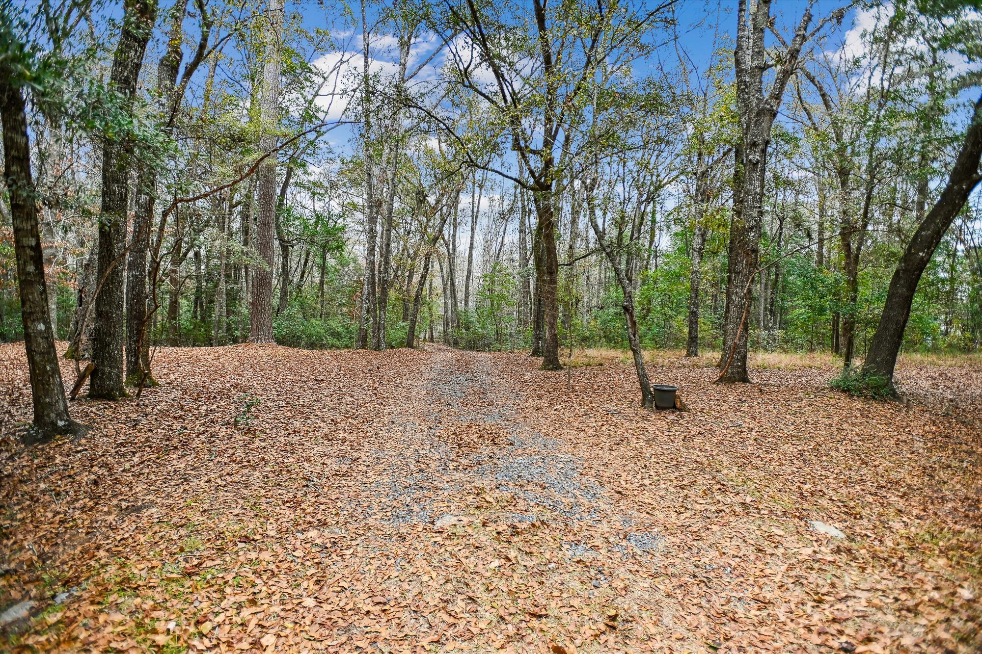 6310 Shilelagh Oaks Parkway