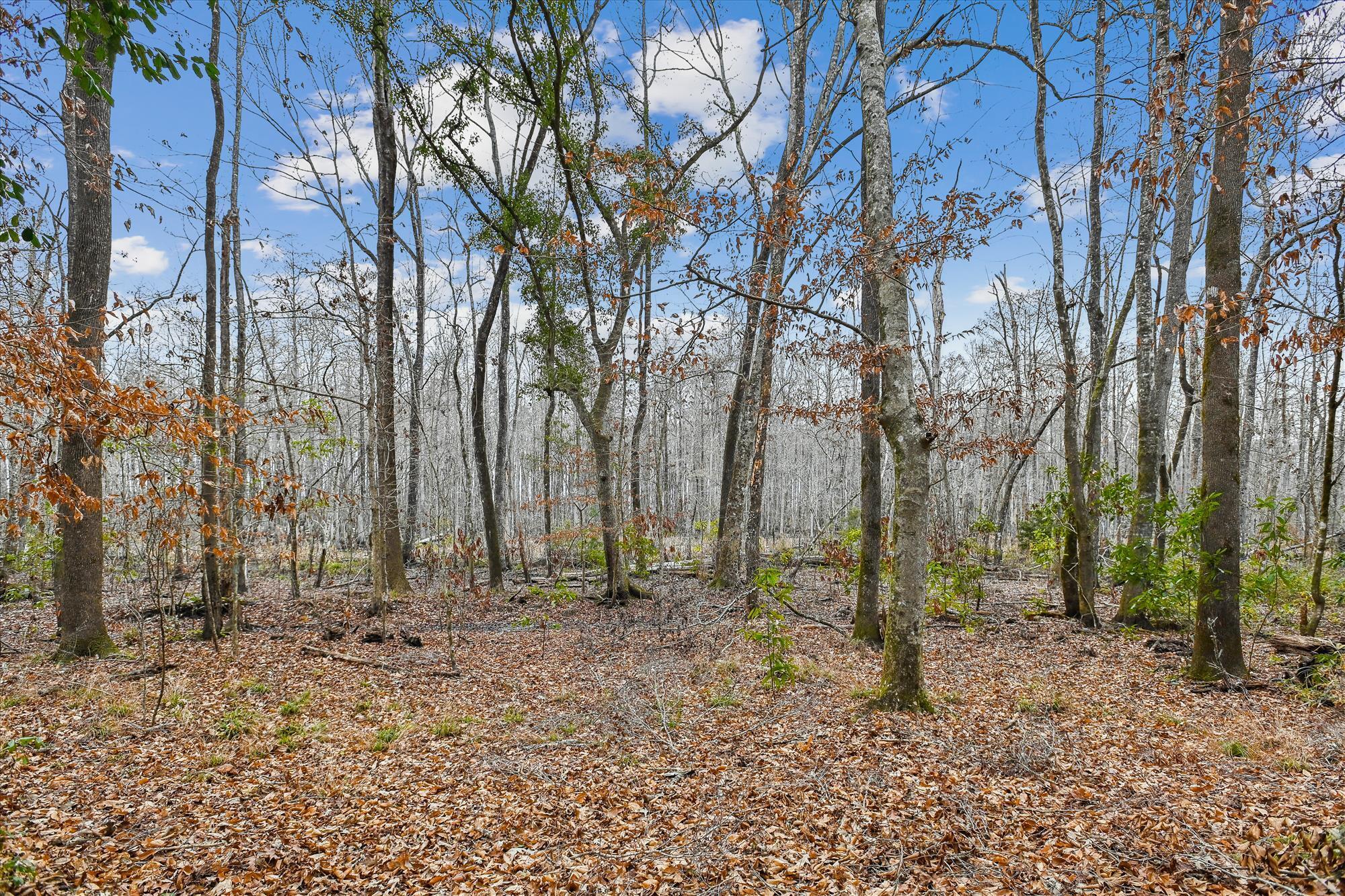 6310 Shilelagh Oaks Parkway