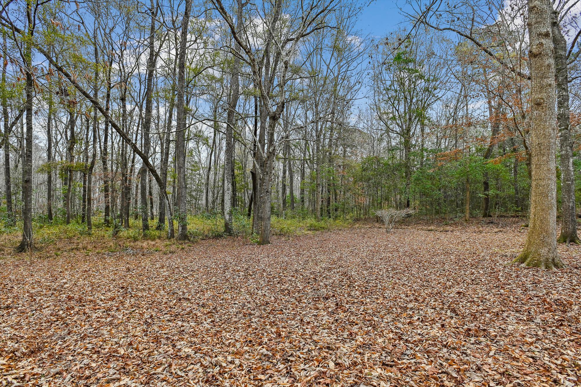 6310 Shilelagh Oaks Parkway