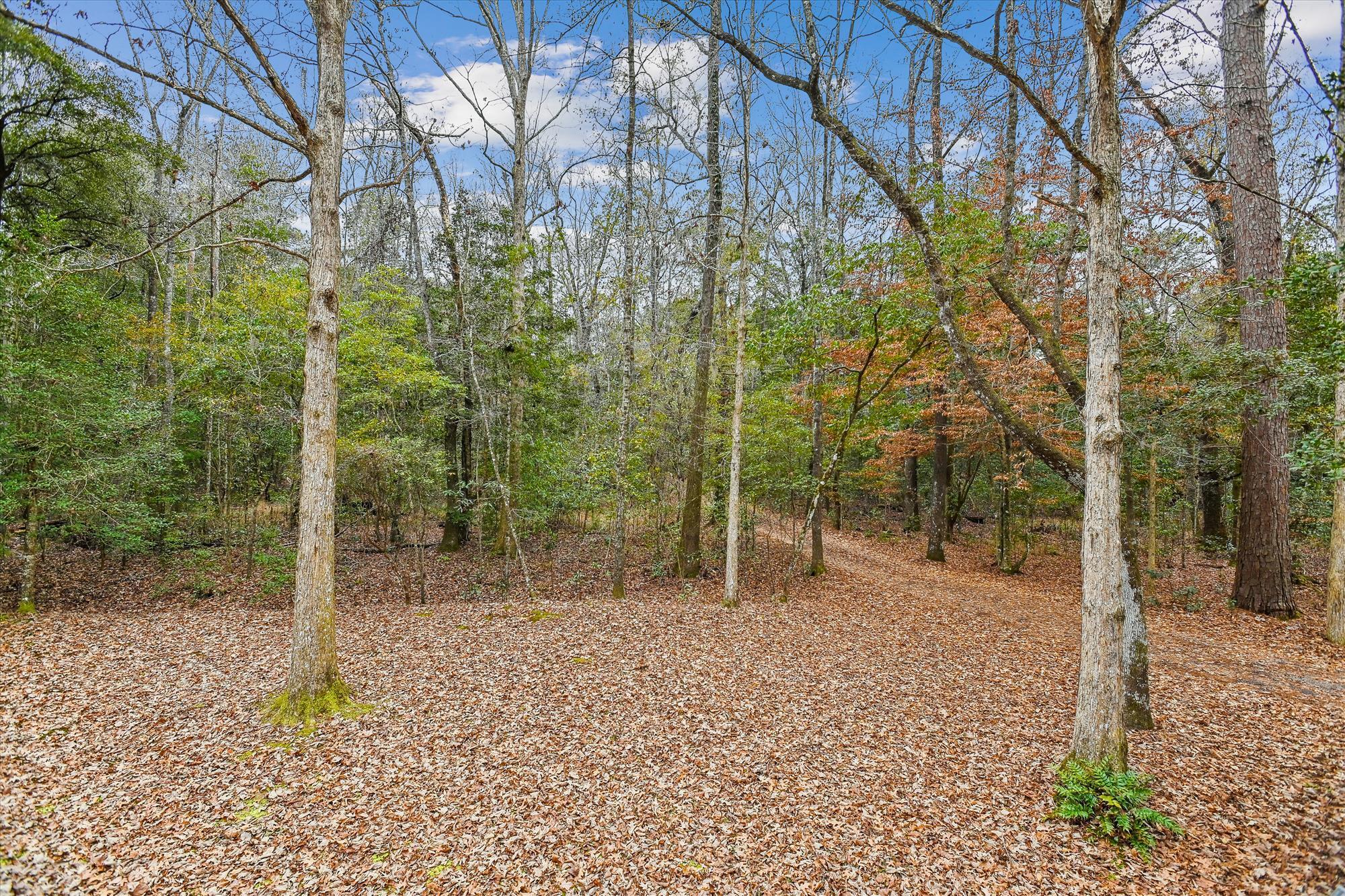 6310 Shilelagh Oaks Parkway