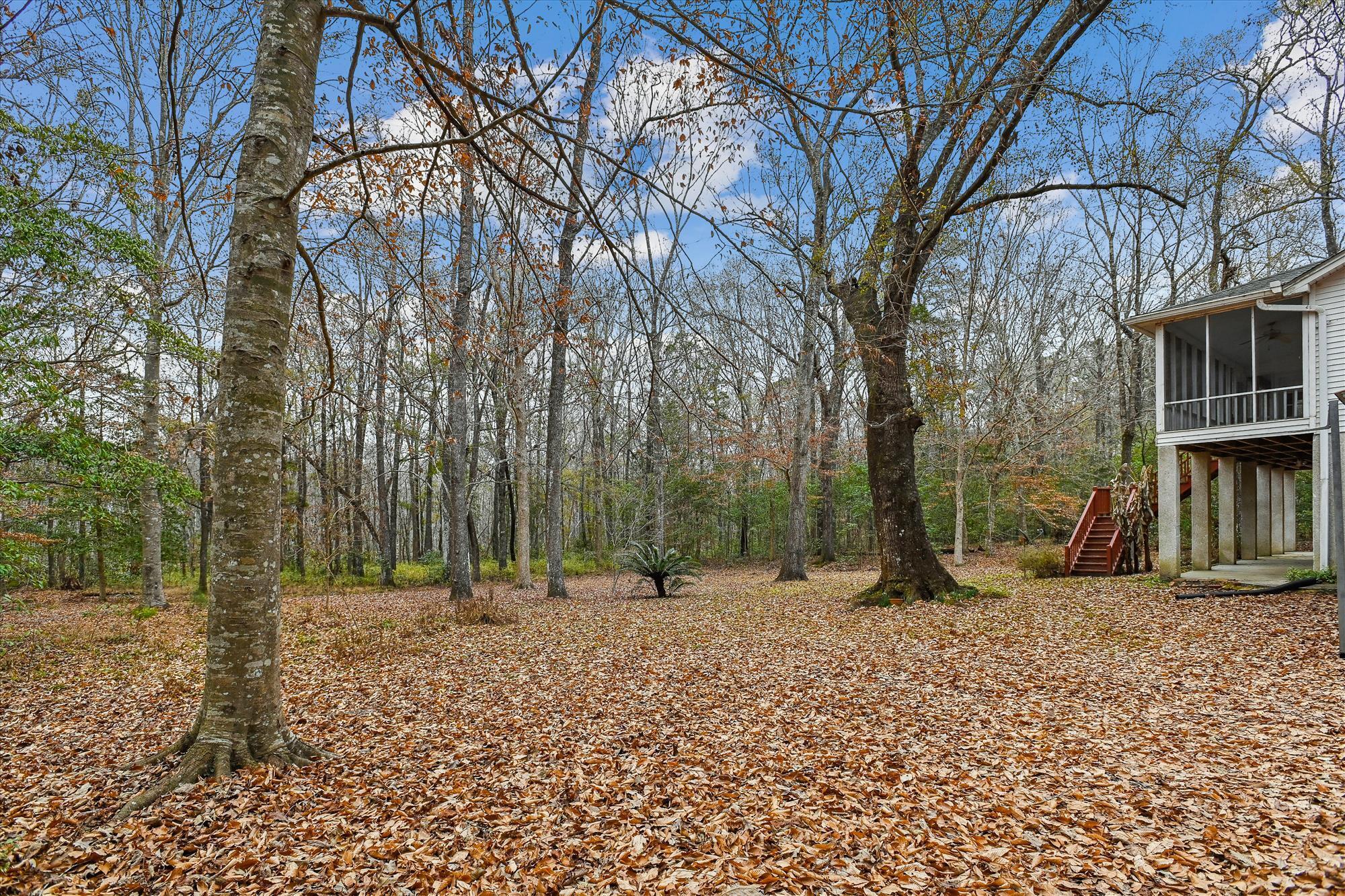 6310 Shilelagh Oaks Parkway