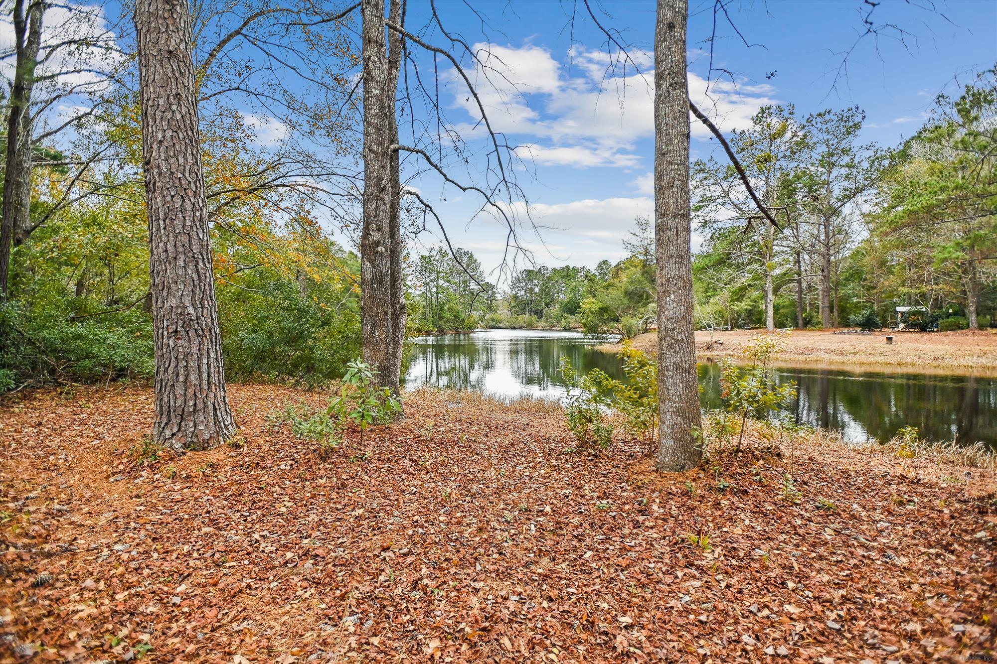 6310 Shilelagh Oaks Parkway