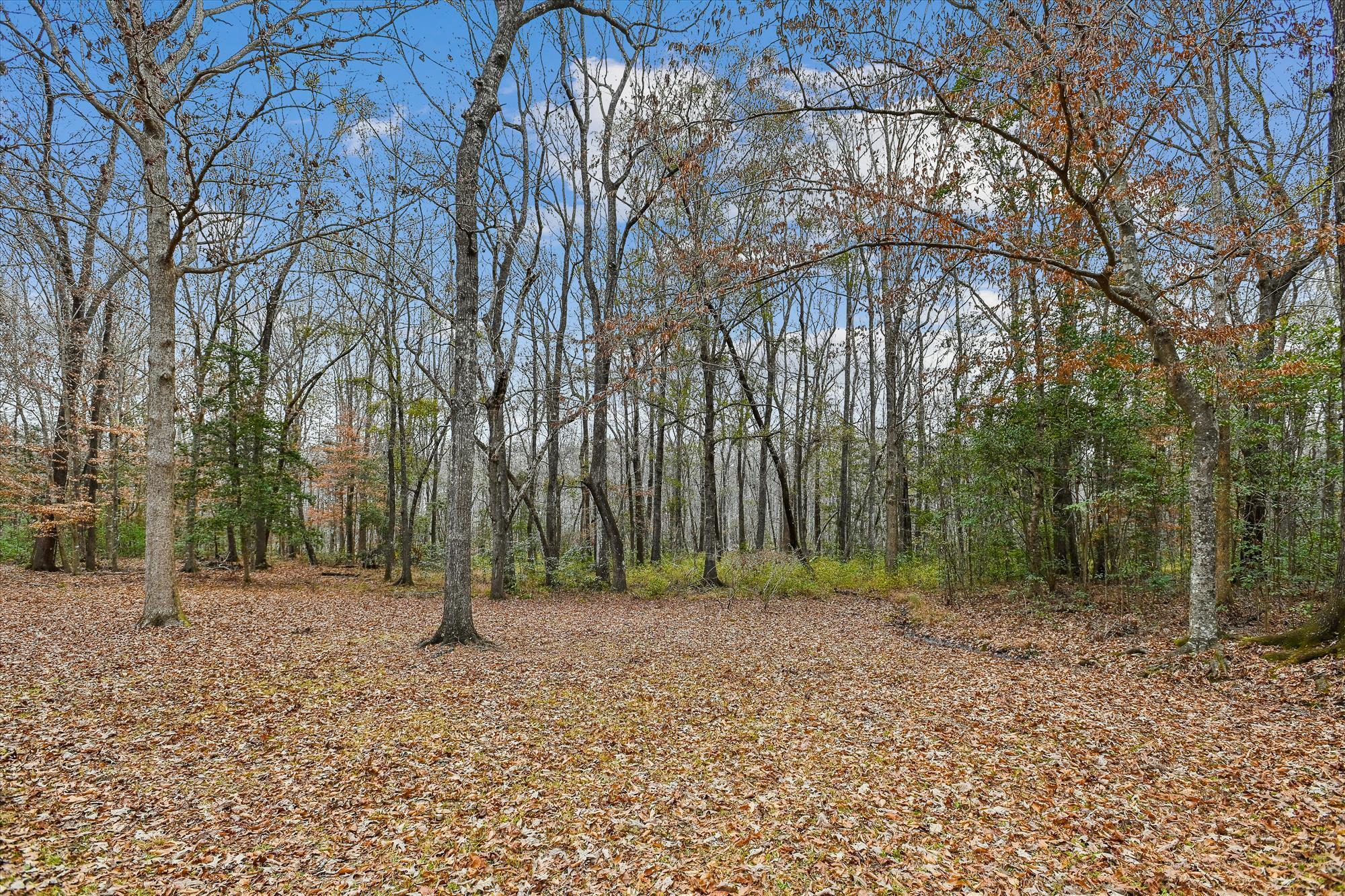 6310 Shilelagh Oaks Parkway