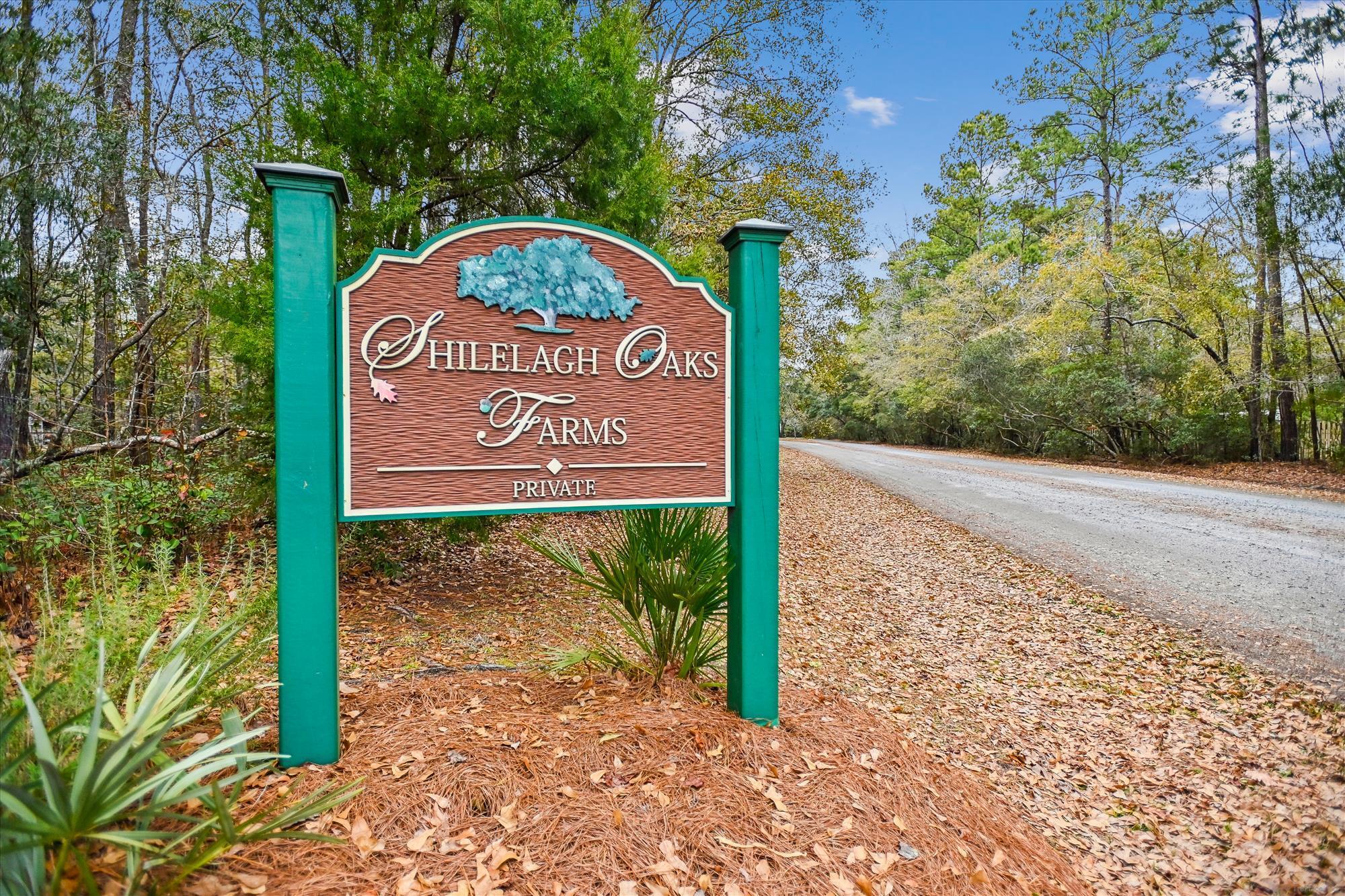 6310 Shilelagh Oaks Parkway