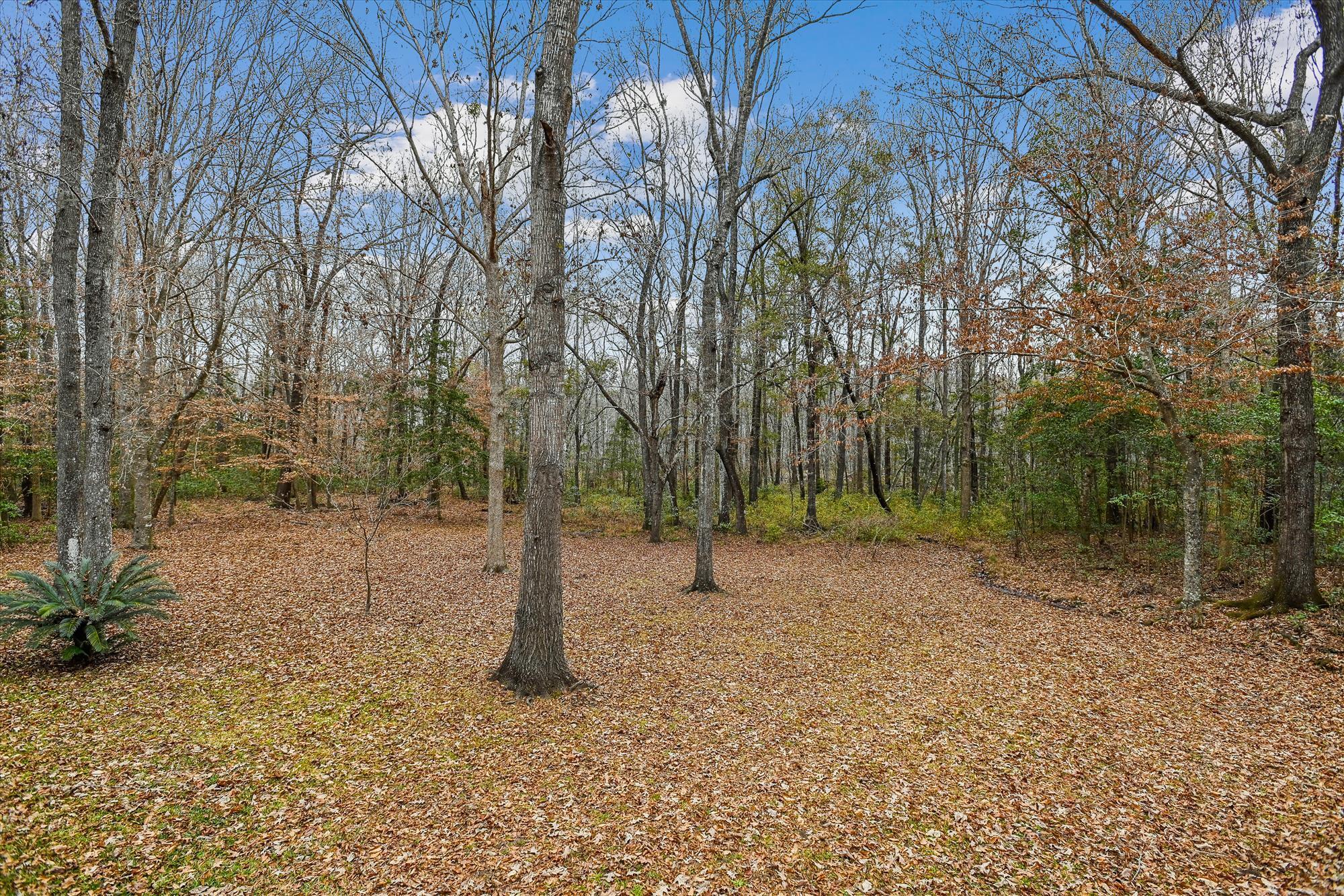 6310 Shilelagh Oaks Parkway