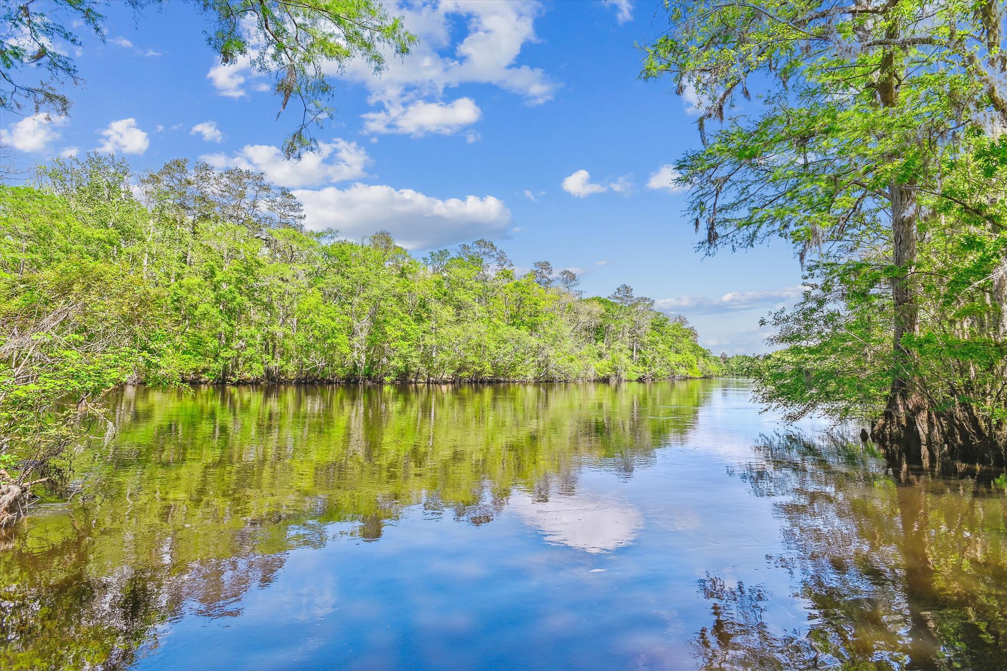 7095 Parkers Ferry Road