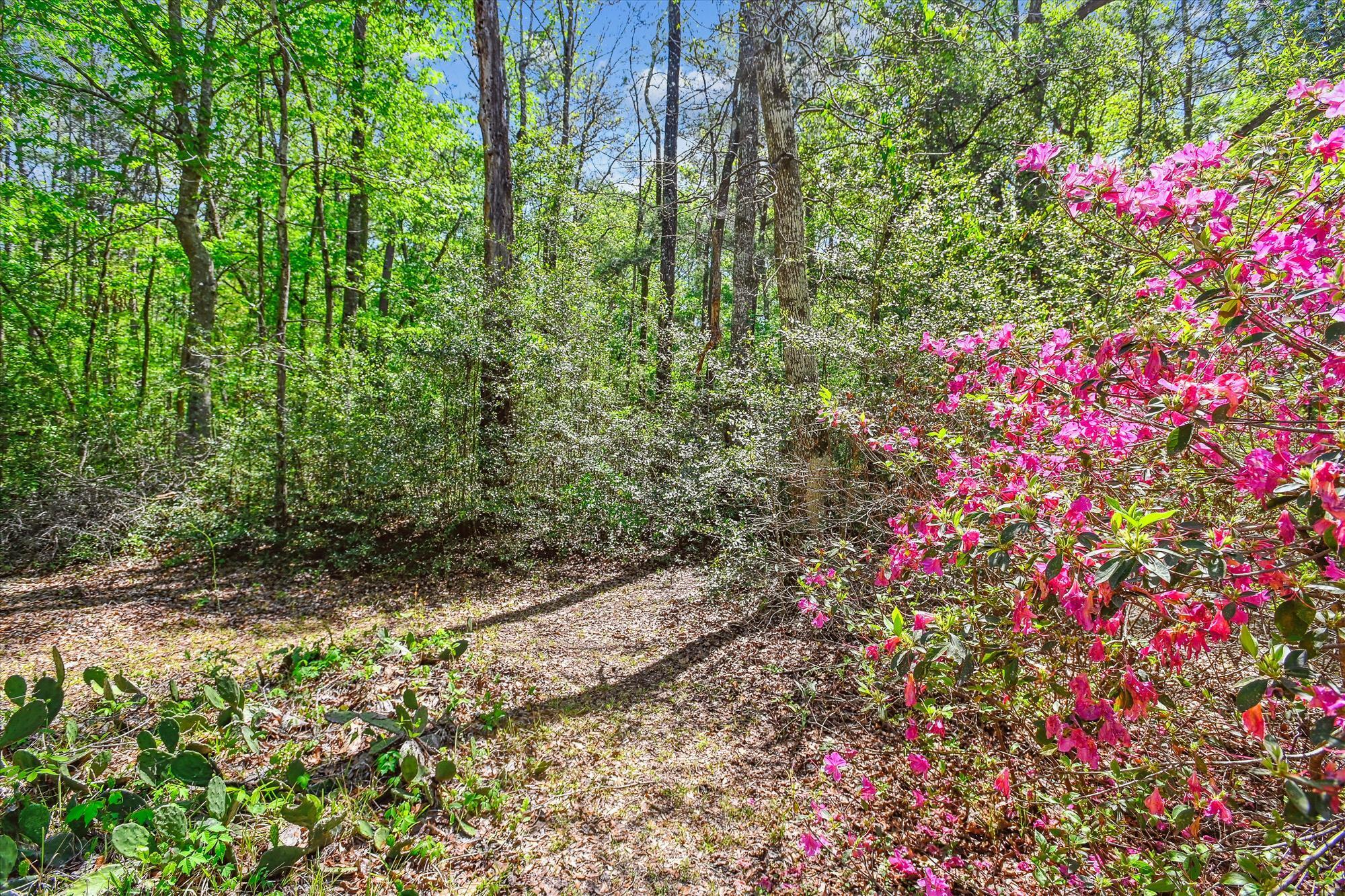 7095 Parkers Ferry Road