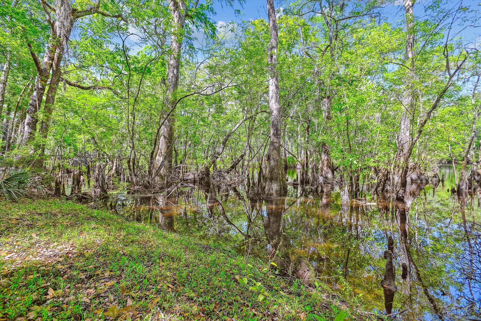 7095 Parkers Ferry Road