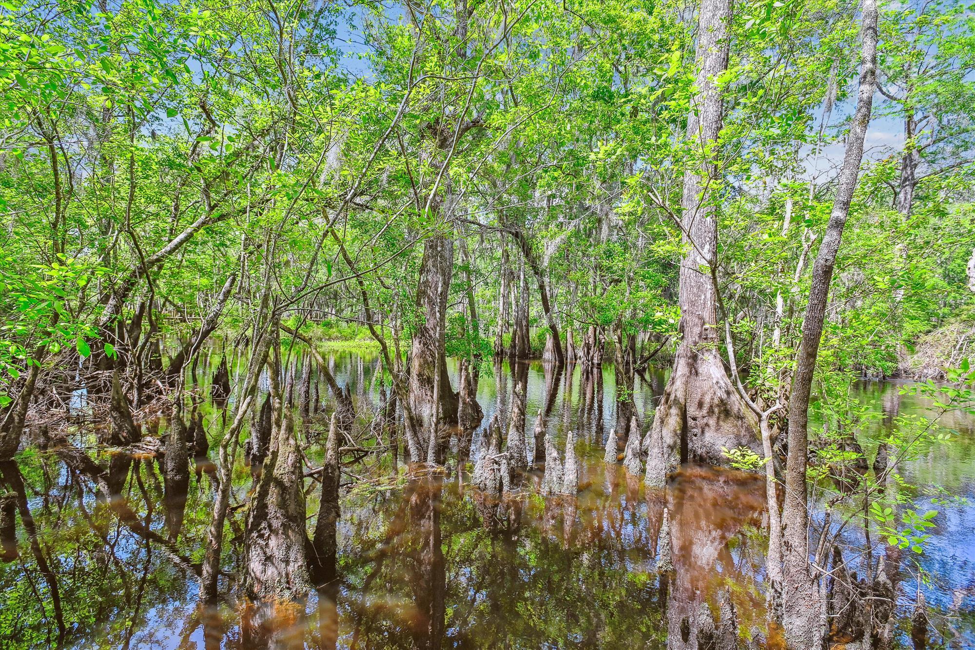 7095 Parkers Ferry Road