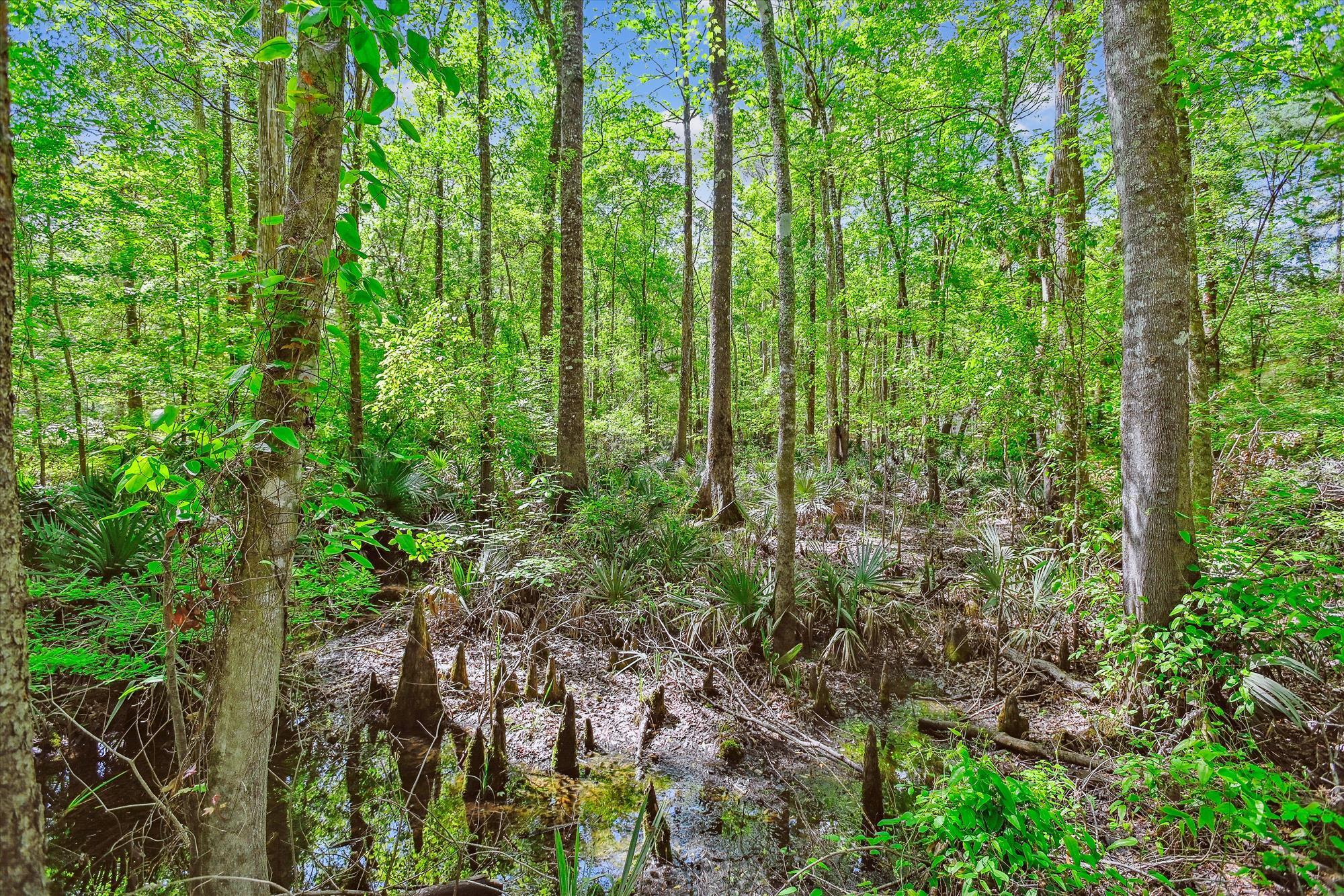 7095 Parkers Ferry Road