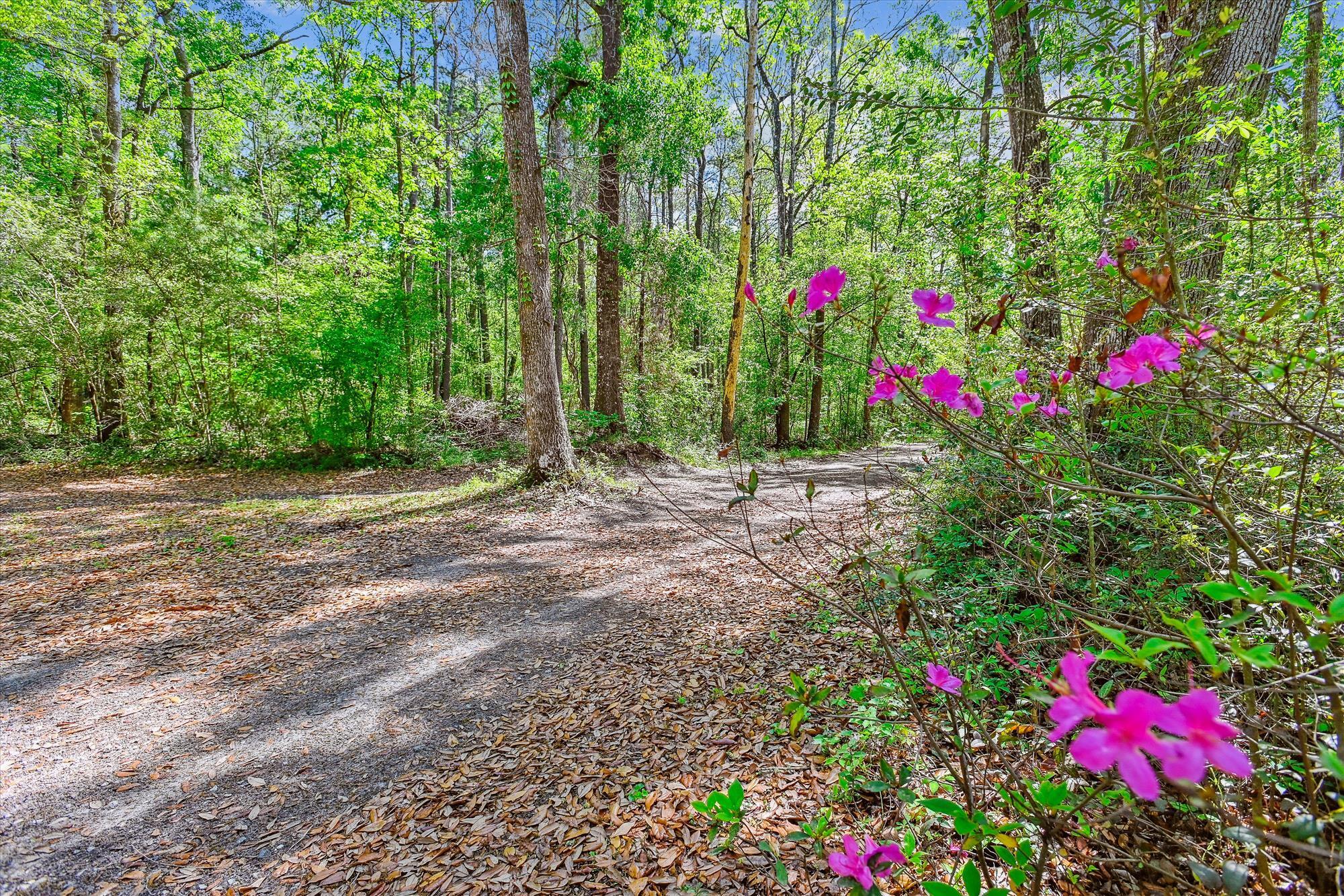 7095 Parkers Ferry Road